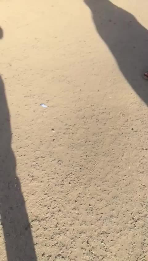 @🌺 aaditya __01🌺