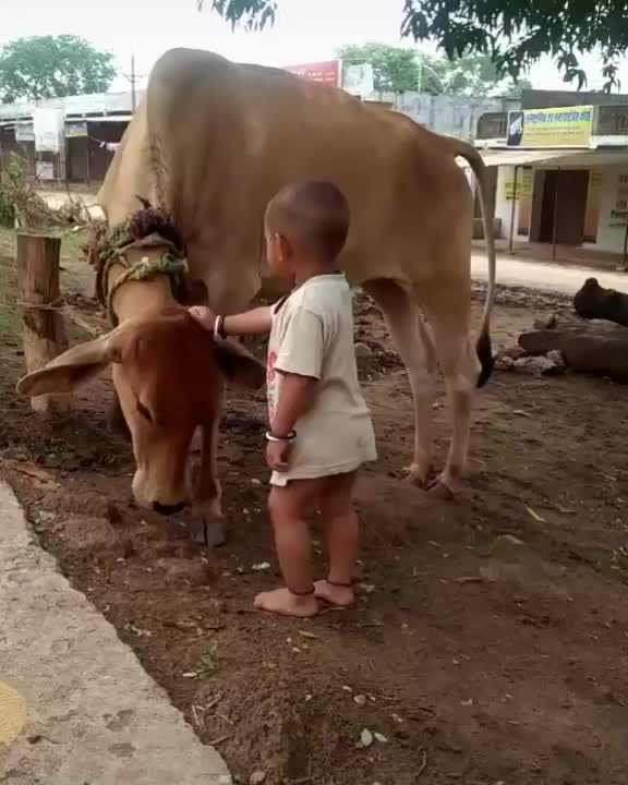 @Ravi Gujjar