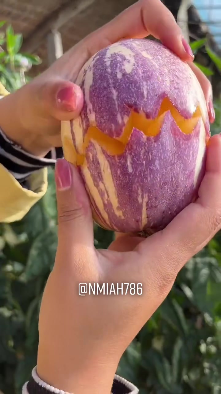 @NMiah786
