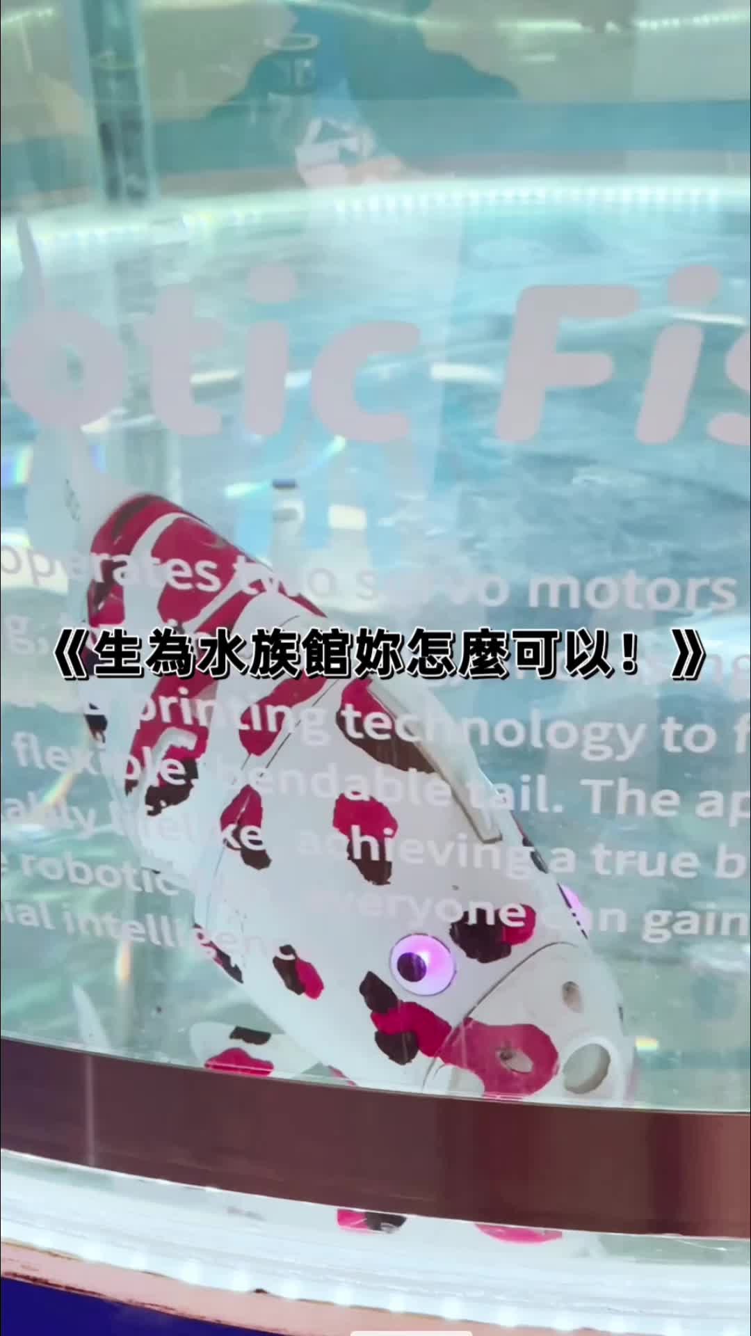 @主播 巫嘉芬