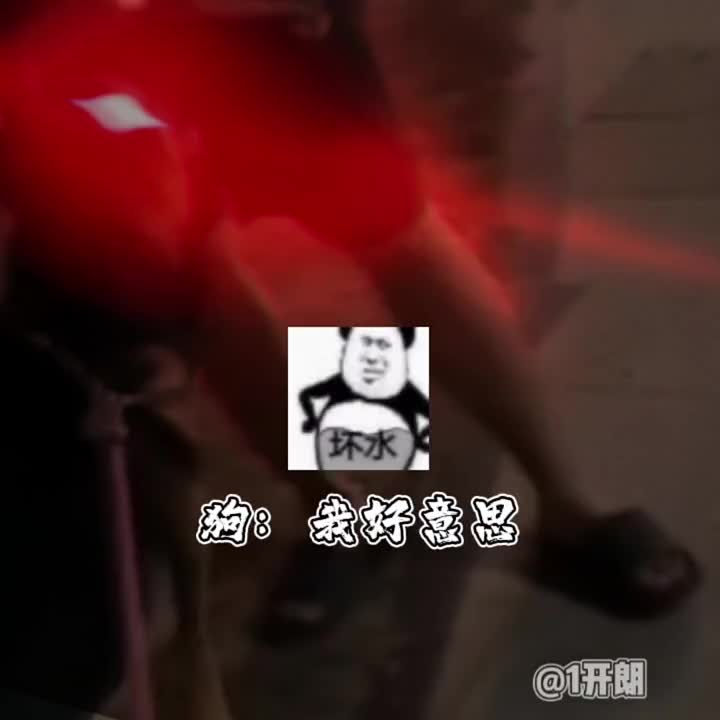 @1開朗 👑