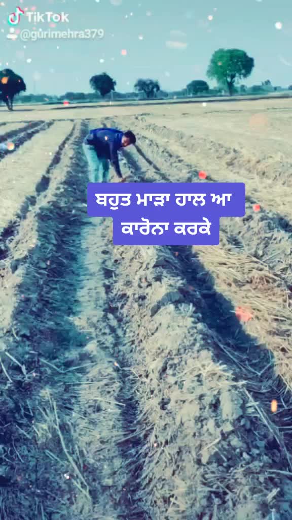 @GuriMehra379