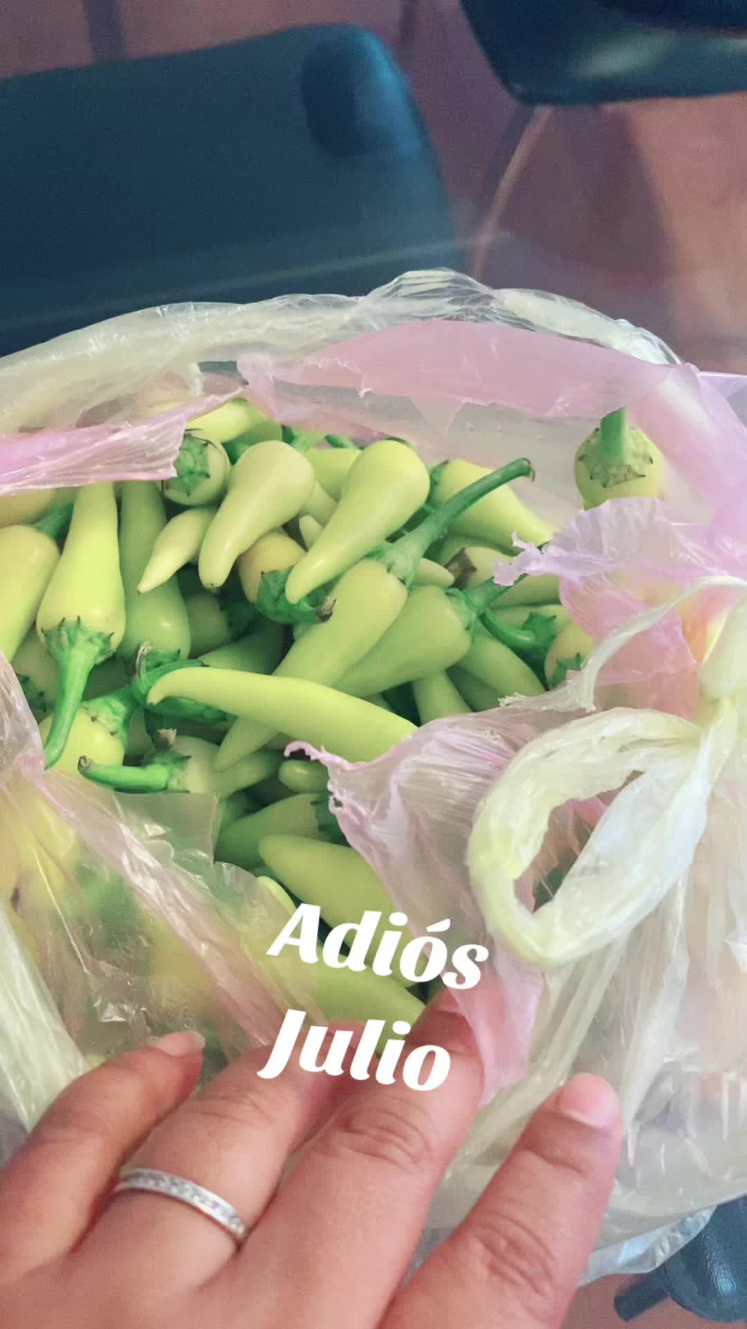 @Melissa Galindo Alva