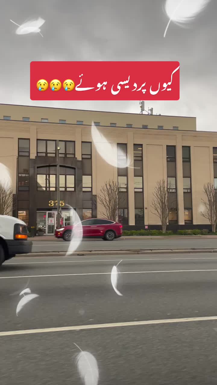 @Gul-e-Noor