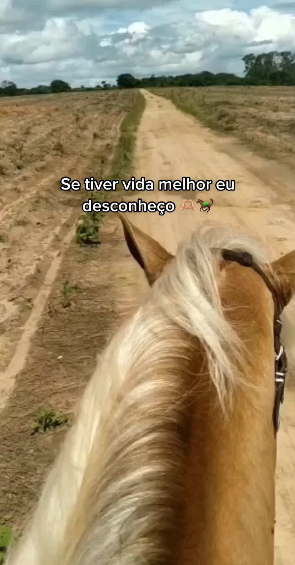 @abrnandoo