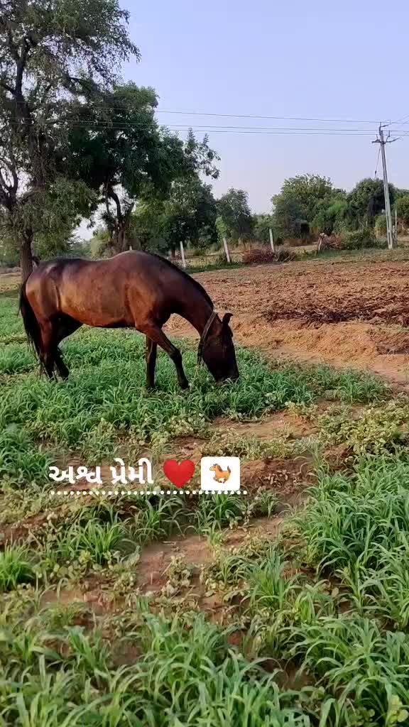 @S.V.❤️