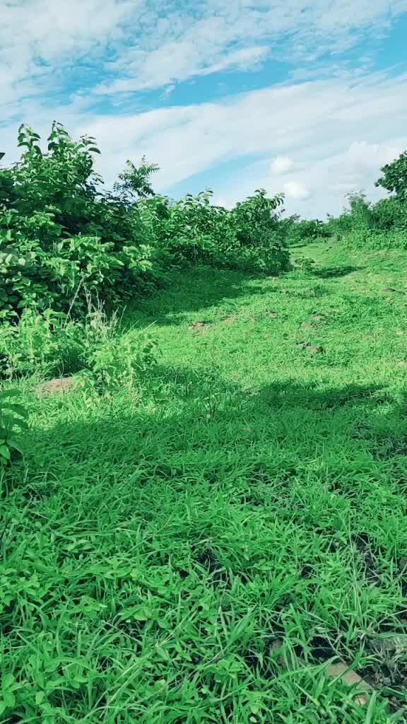 @Rahulpawar0007