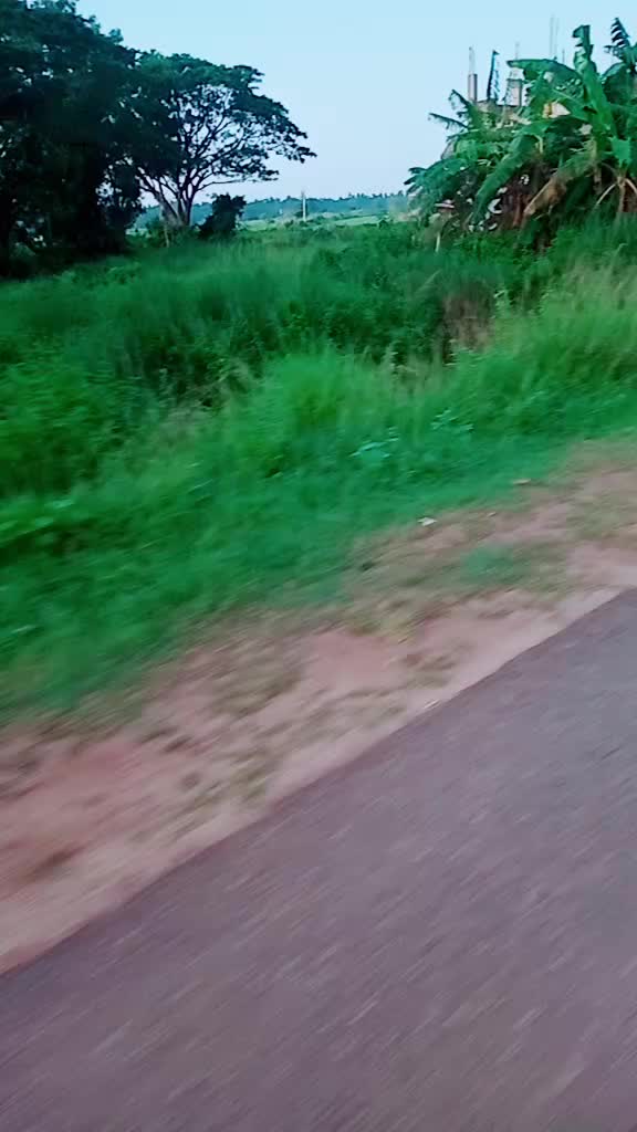 @user553016127902