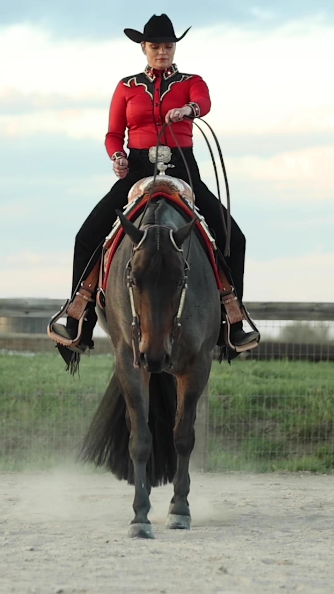 @Rachel ⚡️ Equine Photographer