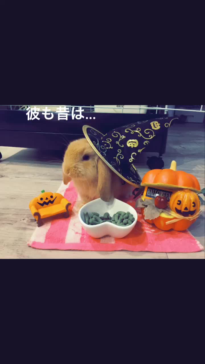 @ちーちゃん