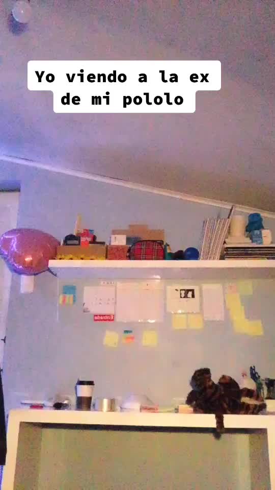 @p.r.m.l