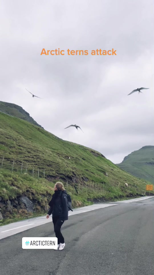@UnpavedRoads - Faroe Islands