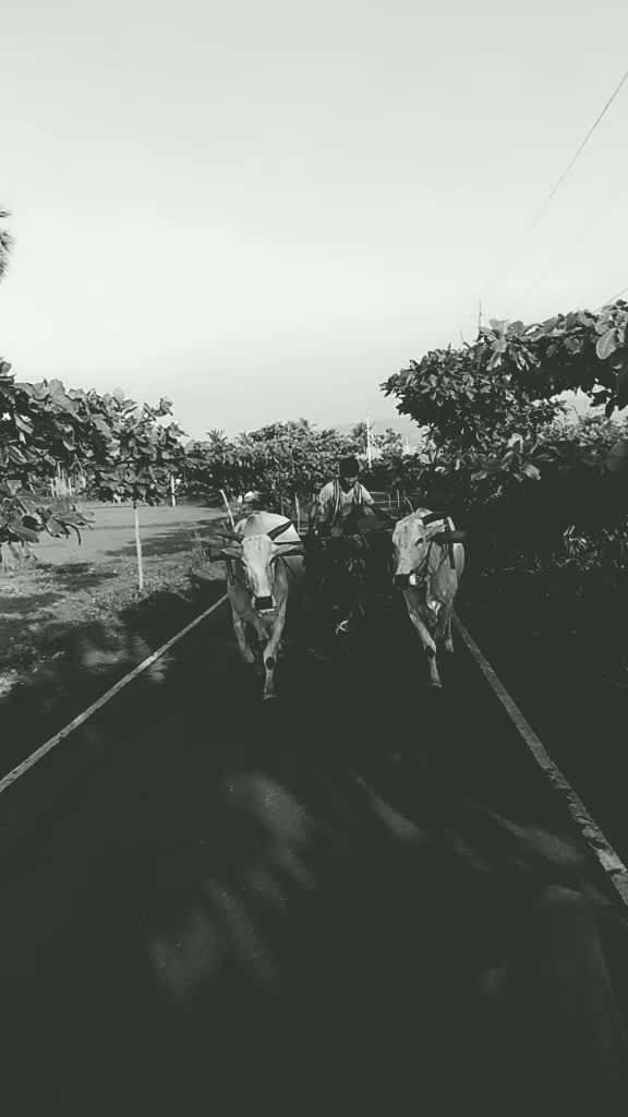 @M Kranthi
