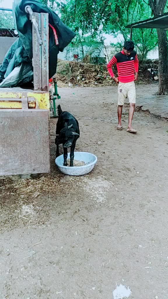 @ajay 935323
