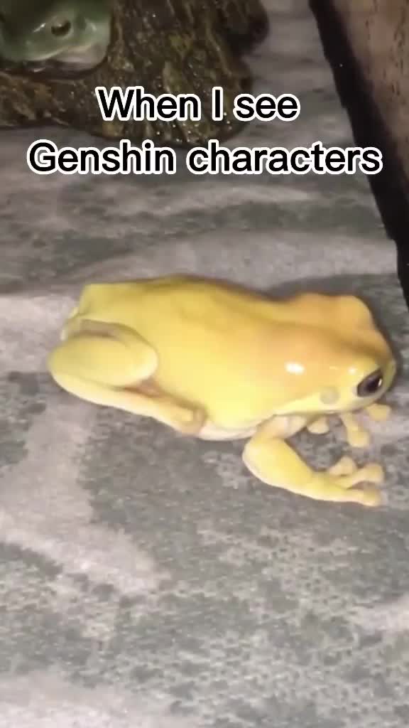 @кокодаё