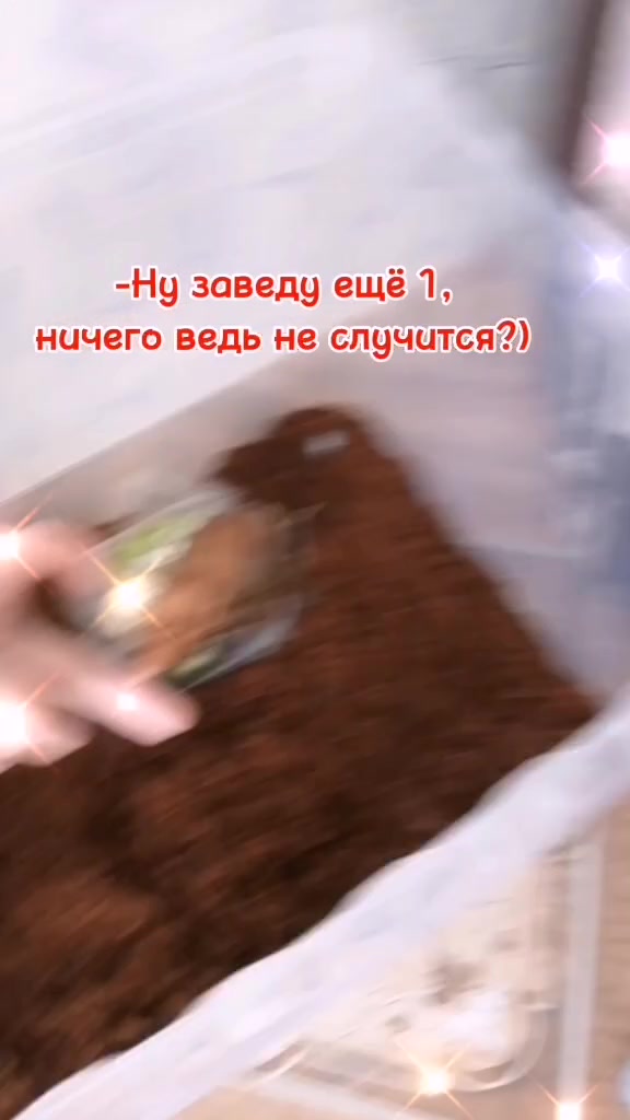 @Улиточки🐌💞