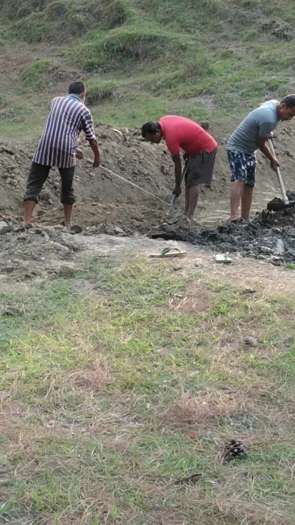 @dalipsingh