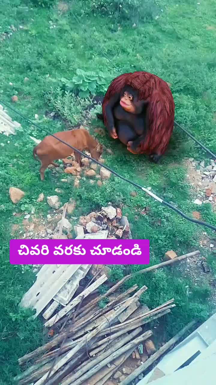 @die hard fan Prabhs