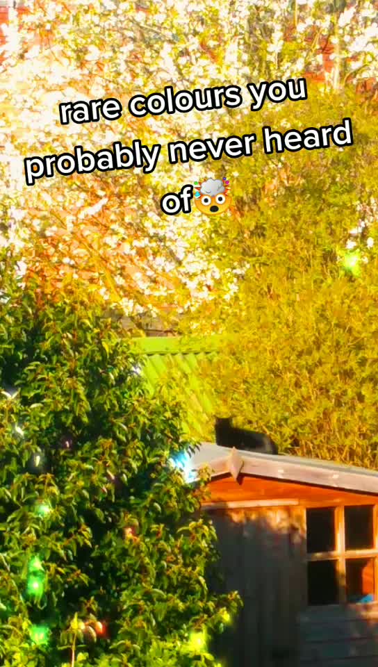 @._.