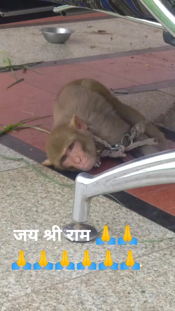 @Neetu rathore