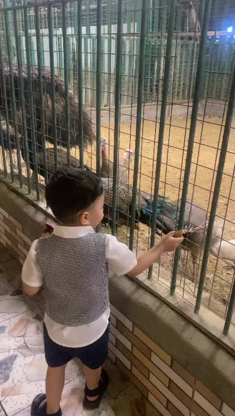 @Ehab Al-Najjar