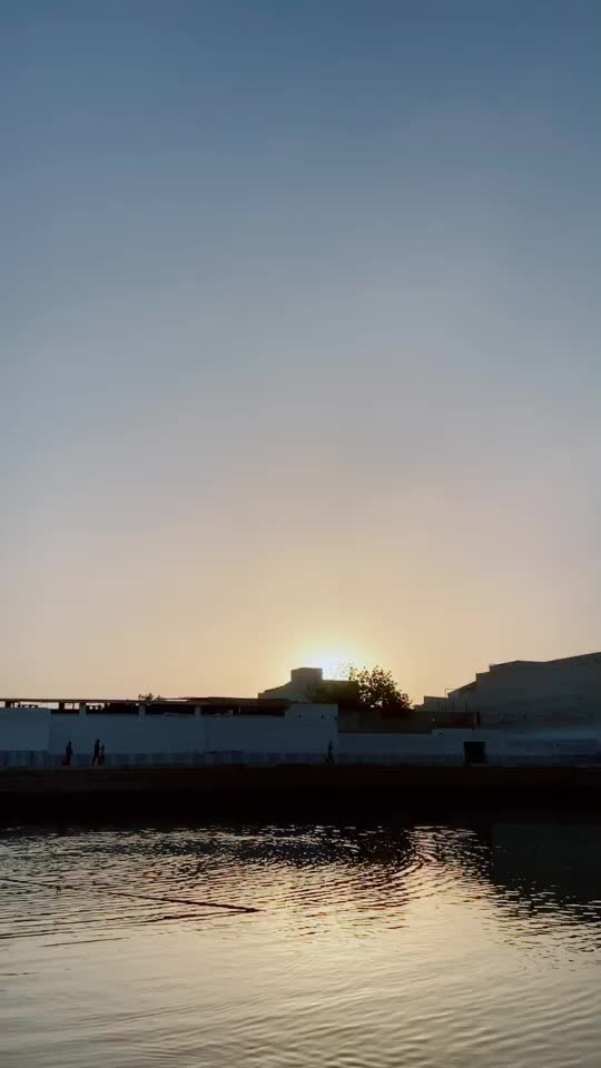 @tannii