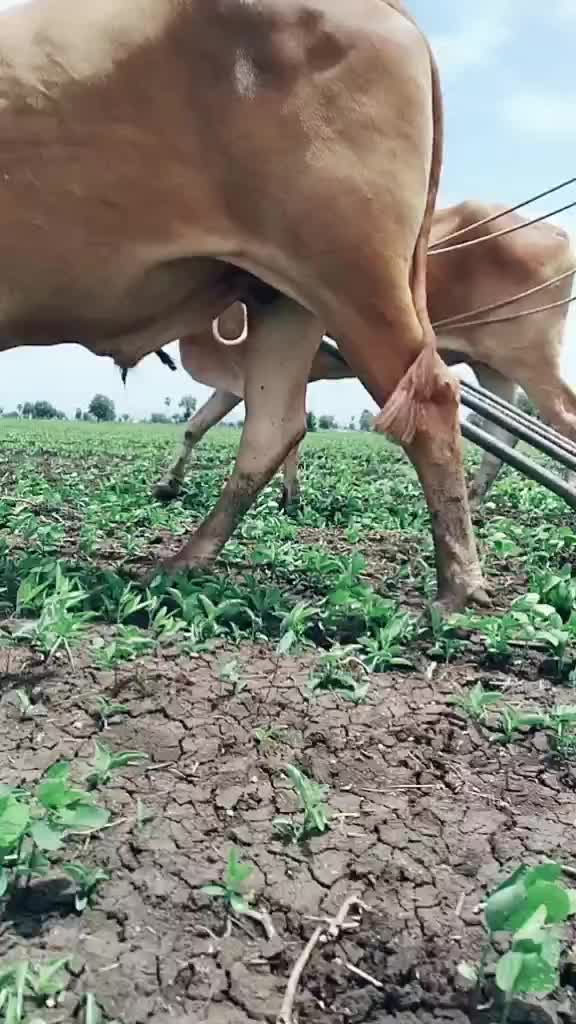 @Vaibhav Deshmukh