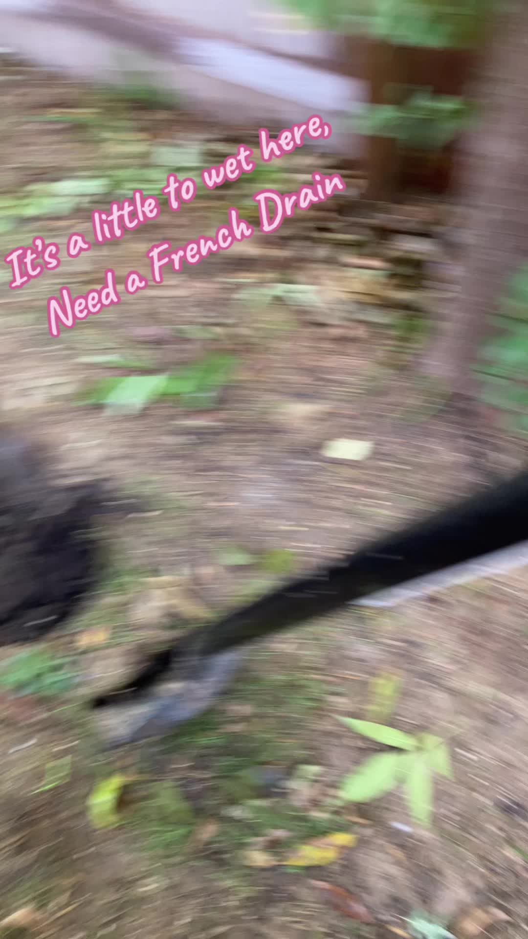 @xElRoyMacoyx