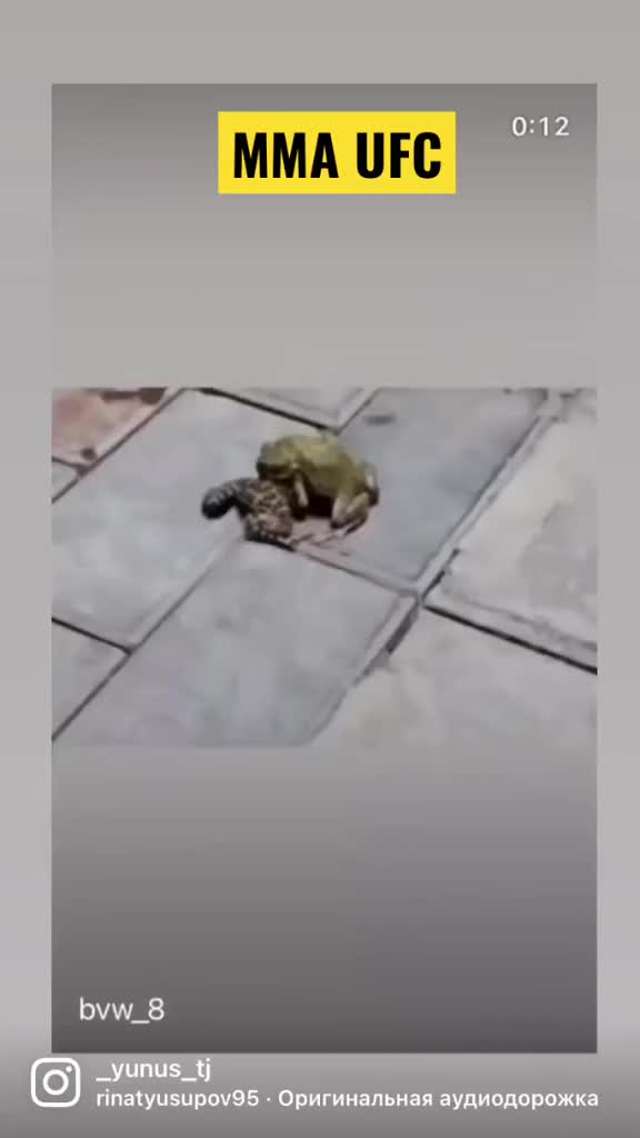 @Абдулазиз