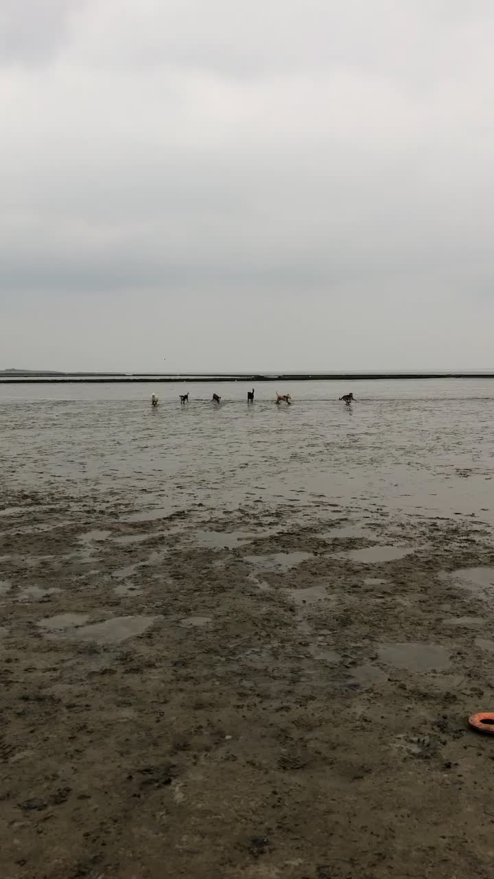 @Sina Weitkamp