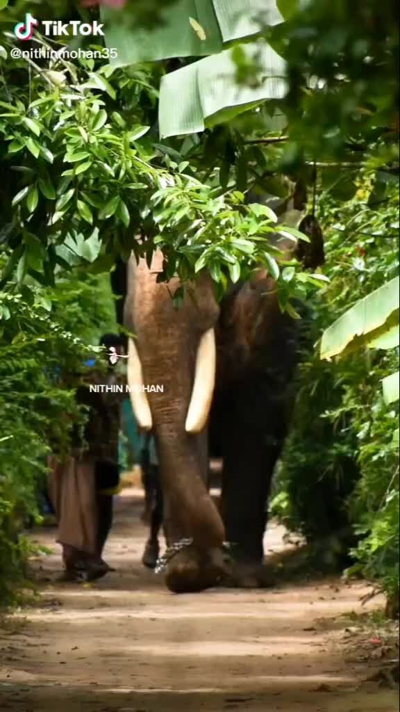 @Akash Kukku