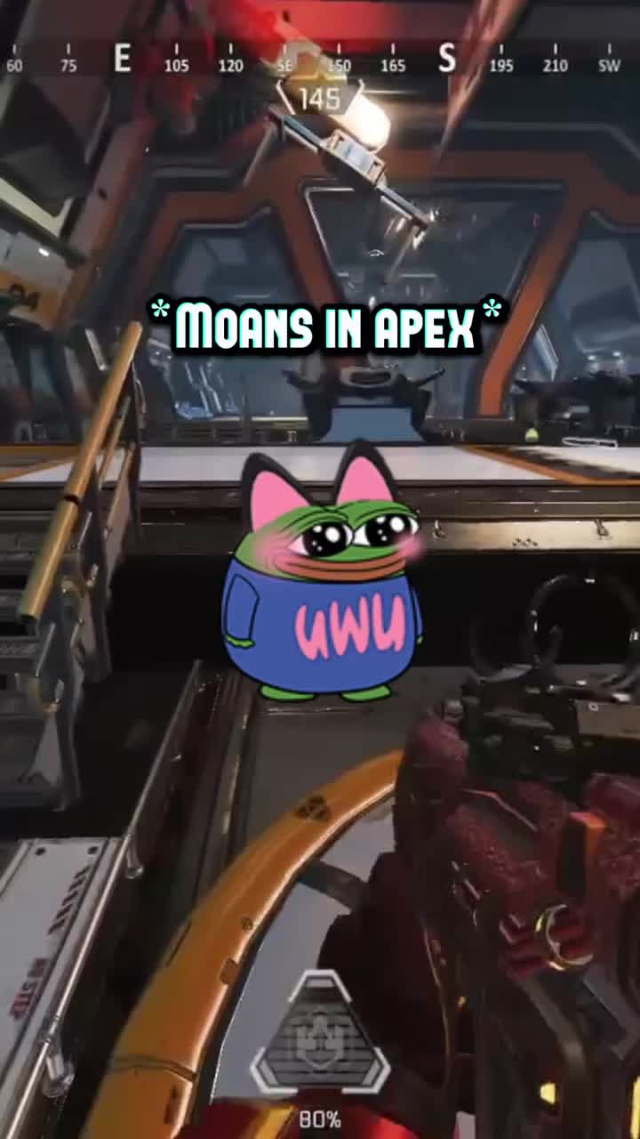 @turtleunbound