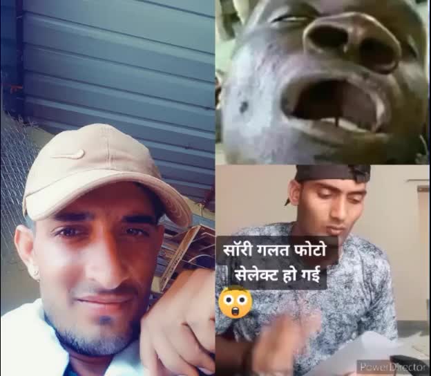 @anop sau