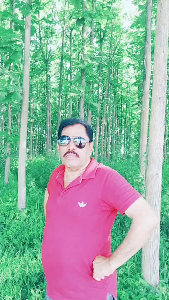 @alinawaz 7866