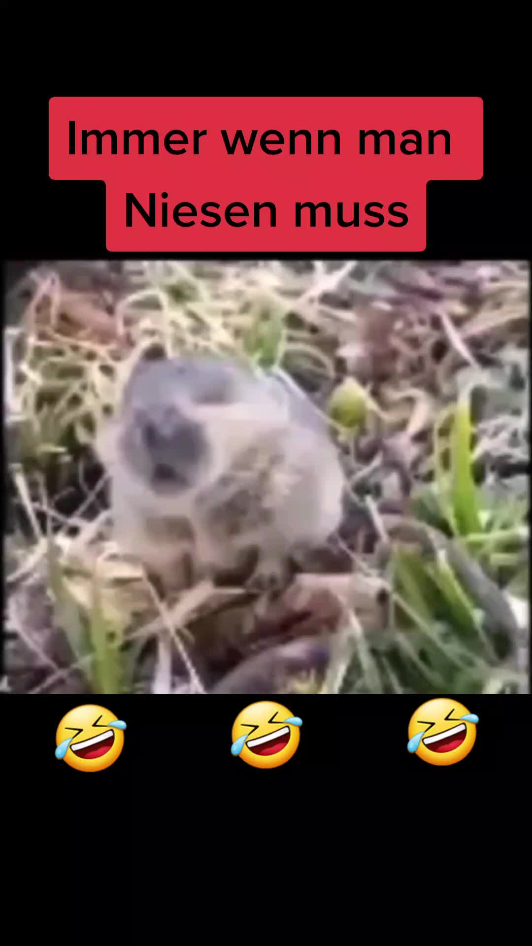@🅢🅟🅐🅢🅢🅕🅐🅚🅣🅞🅡