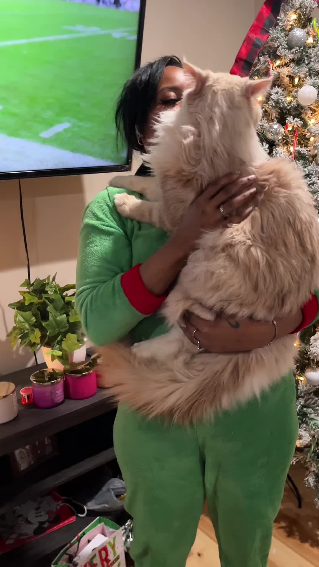 @Tycoon_Mainecoons