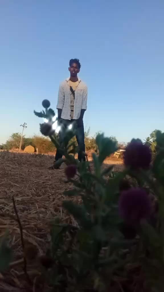 @DS 300598