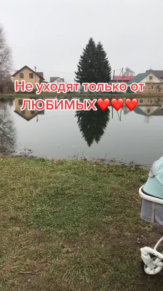@Galieva