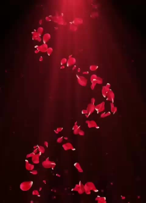 @manmeetkhanuja