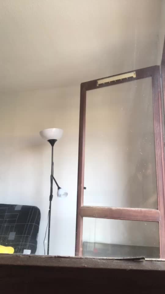 @Vindu