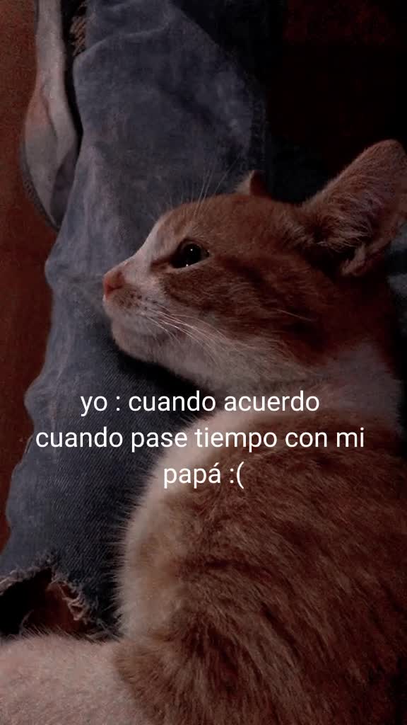 @un poco de todo