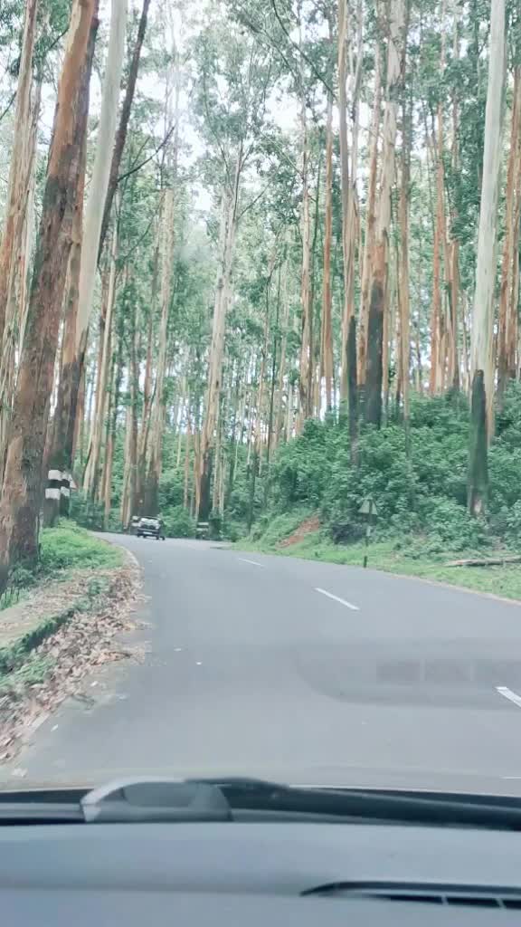 @😎❣️ഉയ്യന്റപ്പാ ❣️😎