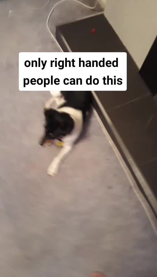 @Jess_thegreat11