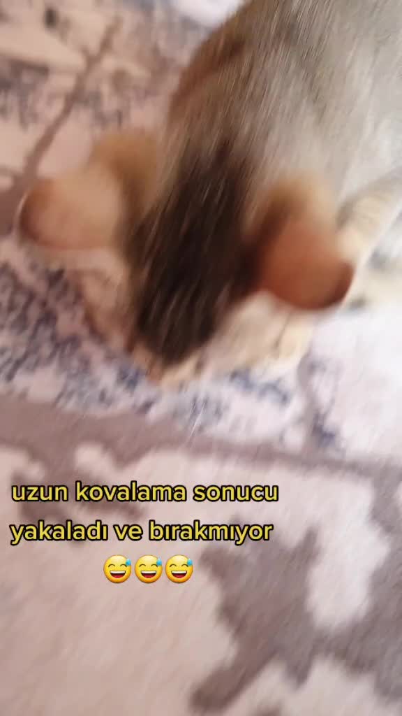 @Alya
