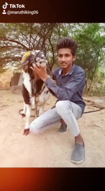 @&Aring;bh&icirc; M&oslash;nster