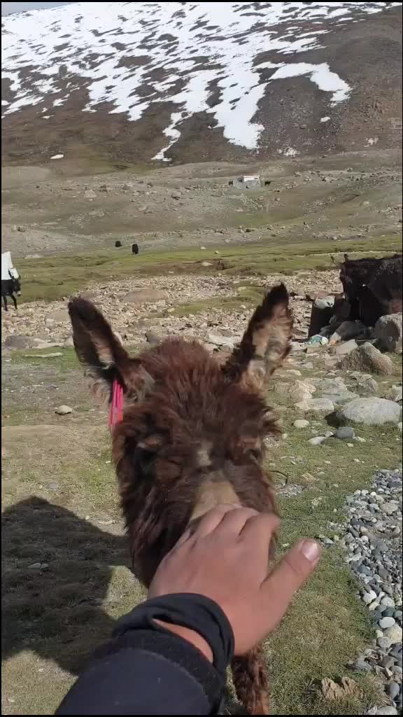 @Ayushi Gunjyal