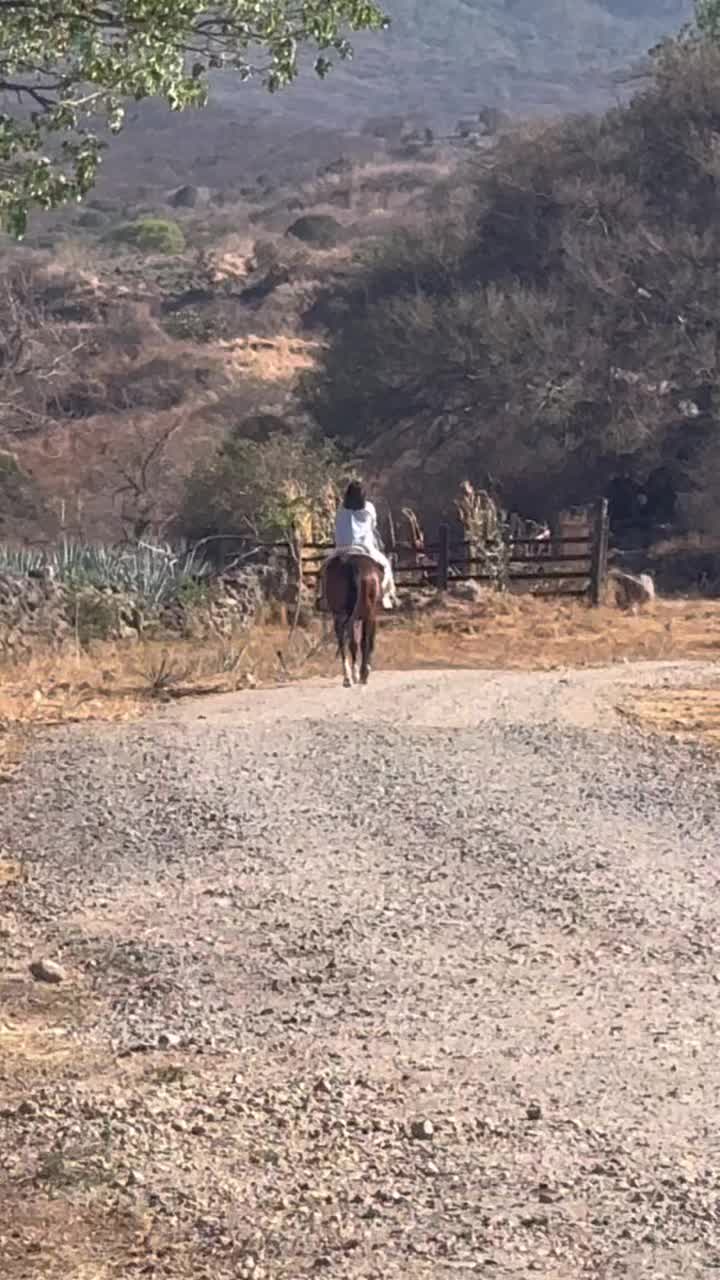@Alondra Estrada