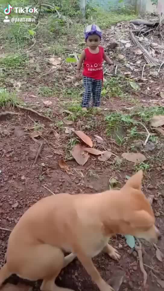 @മിലാഷ(മില്ലുസ് )