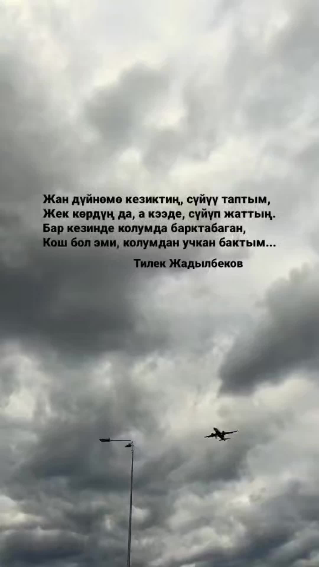 @Tilek