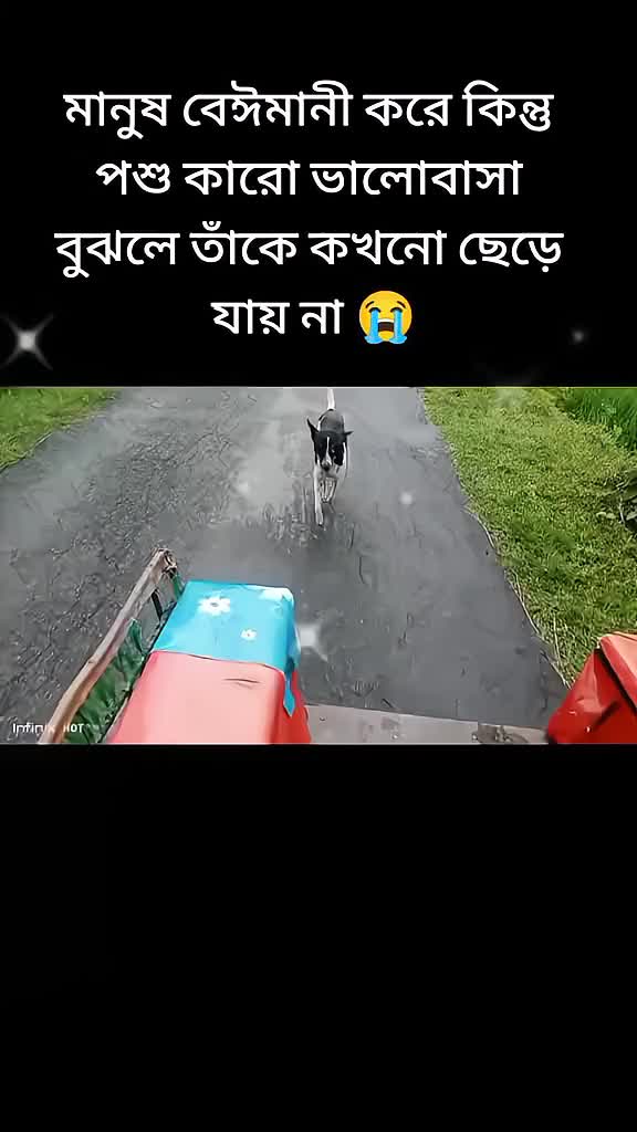 @MD Rony